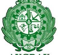 University Logo