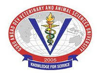 University Logo