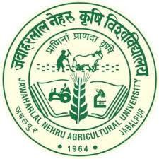 university