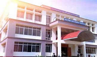 university