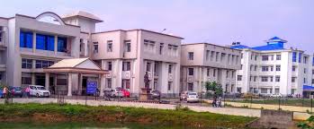 university