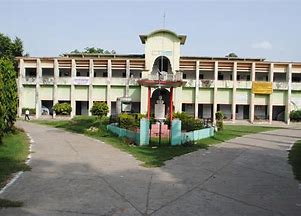 university