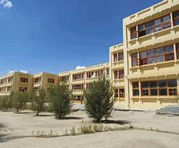 university