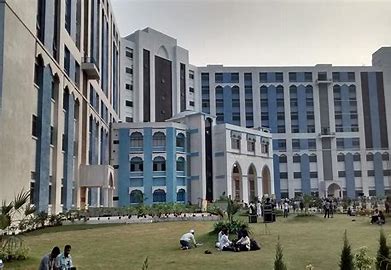 university