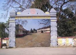 university