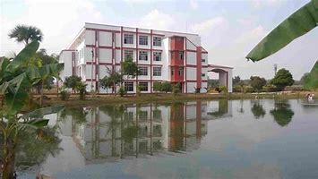university