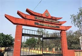 university