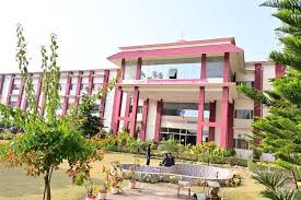 university