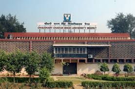 university