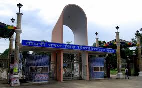university