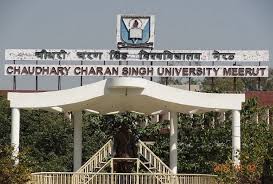 university