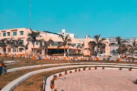 university
