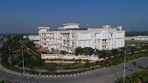 university