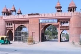 university