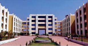 university