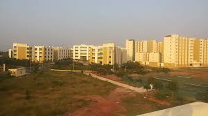 university