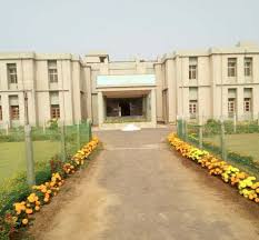 university