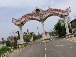 university