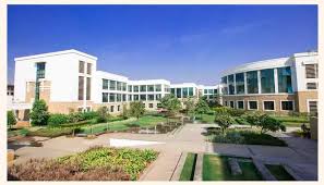 university