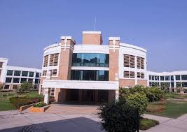 university
