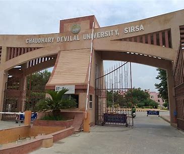 university