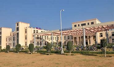 university