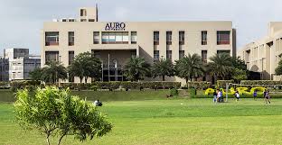 university